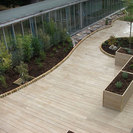 Millboard Decking