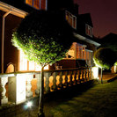 Landscape Lighting