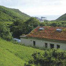 Moons Cottage Greenroof