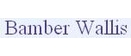 Logo of Bamber Wallis