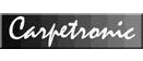Carpetronic Ltd logo