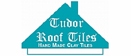 Logo of Tudor Roof Tile Co Ltd