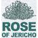 roseofjericho.jpg Logo